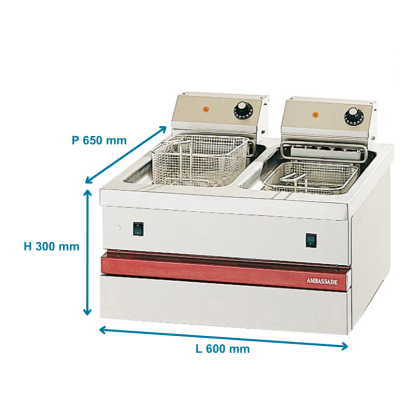 Friteuse Électrique 2 X 6L